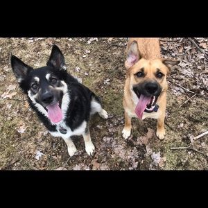 Meet your Posher, Danielle